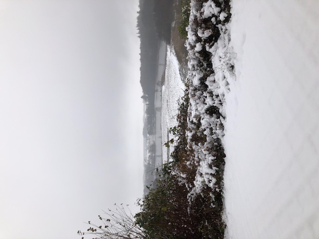 Klik for at vise stort